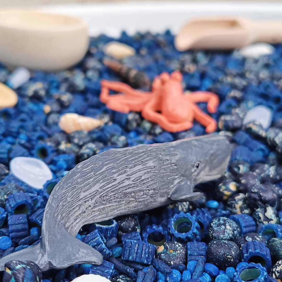 Save The Ocean