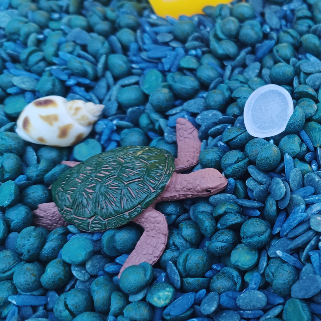 Save The Ocean