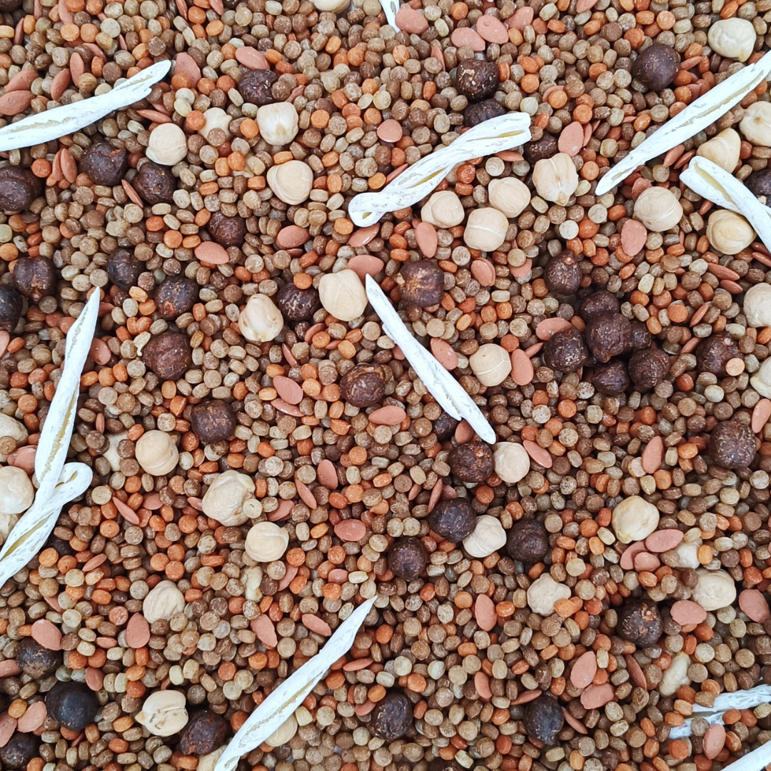 Fossil Dinosaur Search Mix