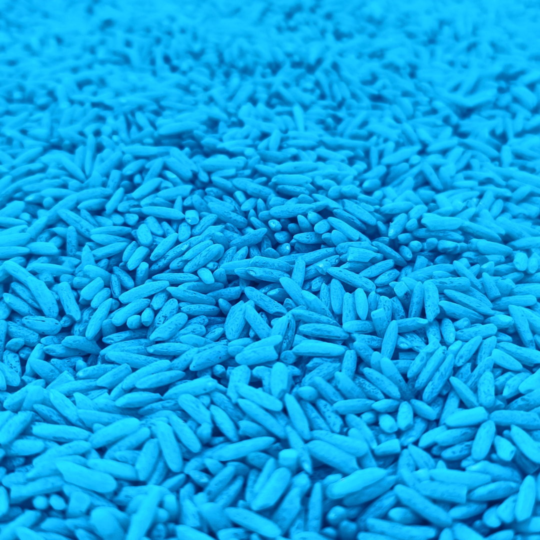 Cyan Rice