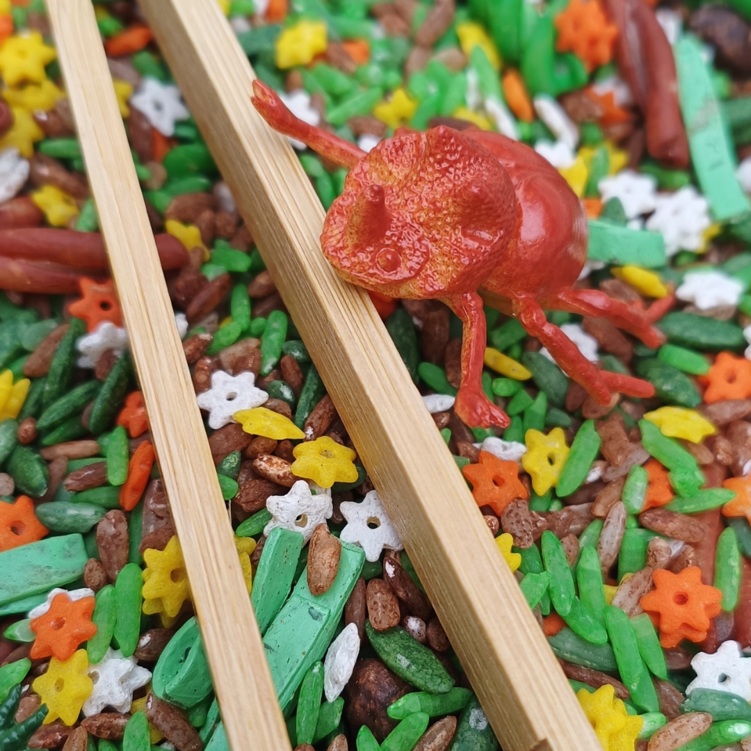 The Bug Hunt