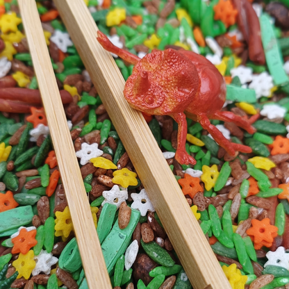 The Bug Hunt