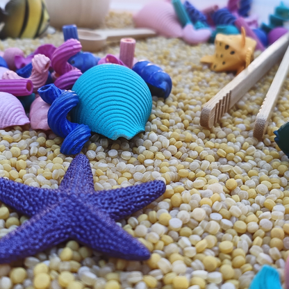 Coral Reef
