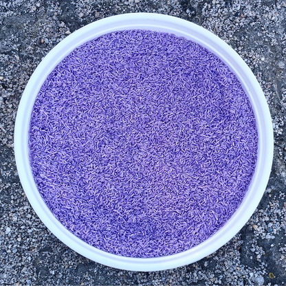 Purple Rice