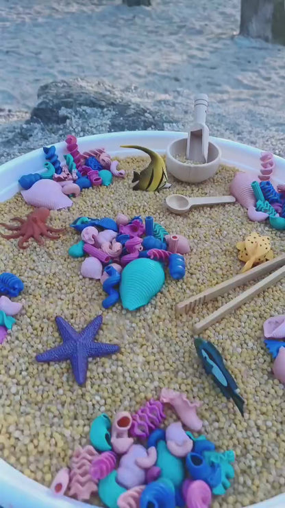 Coral Reef
